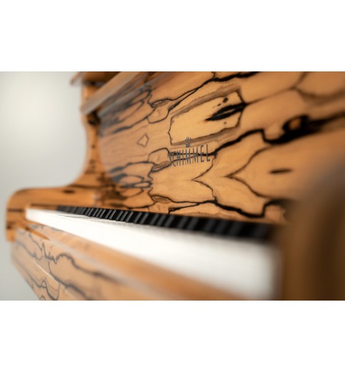 Schimmel Classic C169T Ebène Blanc